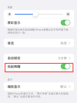 黄陂苹果授权维修站分享iPhone轻点无法唤醒怎么办