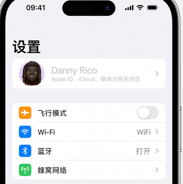 黄陂appleID维修服务iPhone设置中Apple ID显示为灰色无法使用 