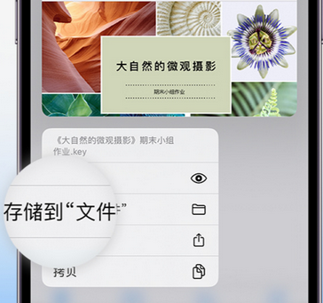 黄陂apple维修中心分享iPhone文件应用中存储和找到下载文件