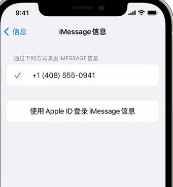 黄陂apple维修iPhone上无法正常发送iMessage信息 