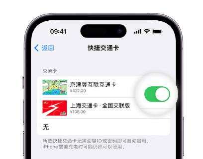 黄陂apple维修点分享iPhone上更换Apple Pay快捷交通卡手绘卡面 