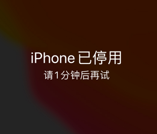 黄陂苹果手机维修分享:iPhone 显示“不可用”或“已停用”怎么办？还能保留数据吗？ 