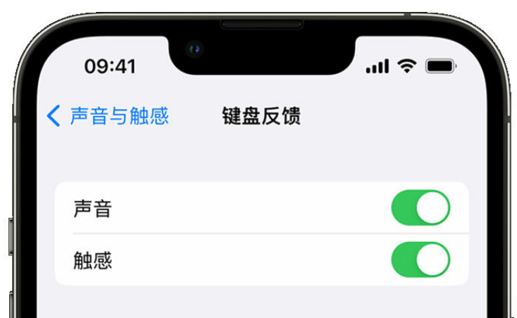 黄陂苹果手机维修分享iPhone 14触感键盘使用方法 