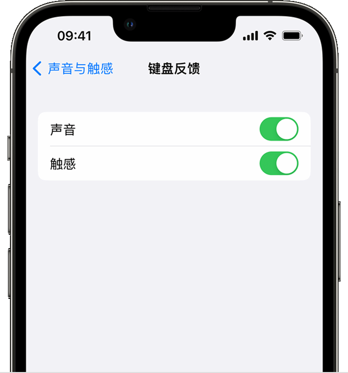 黄陂苹果14维修店分享如何在 iPhone 14 机型中使用触感键盘 