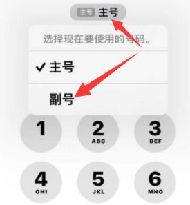 黄陂苹果14维修店分享iPhone 14 Pro Max使用副卡打电话的方法 