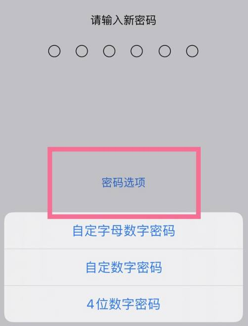 黄陂苹果14维修分享iPhone 14plus设置密码的方法 