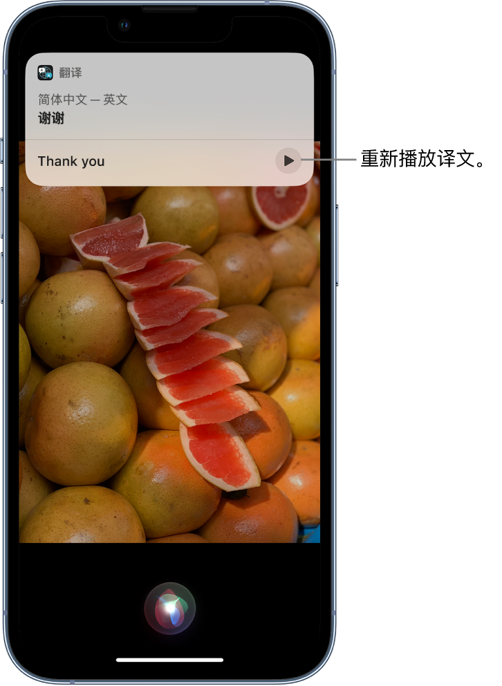 黄陂苹果14维修分享 iPhone 14 机型中使用 Siri：了解 Siri 能帮你做什么 