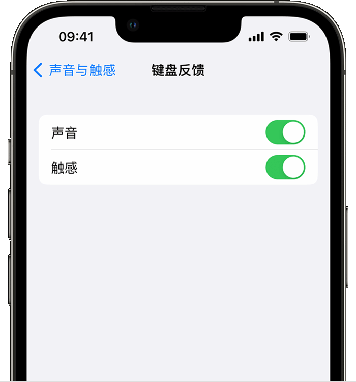 黄陂苹果14维修分享iPhone 14 系列机型如何开启键盘声音或触感反馈 
