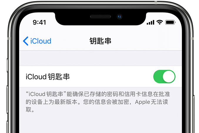 黄陂苹果手机维修分享在 iPhone 上开启 iCloud 钥匙串之后会储存哪些信息 