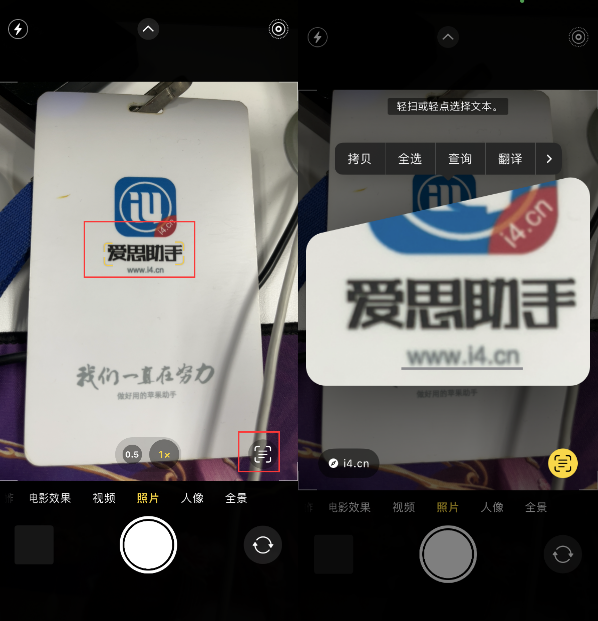 黄陂苹果手机维修分享升级iOS 16后如何通过相机翻译文本 