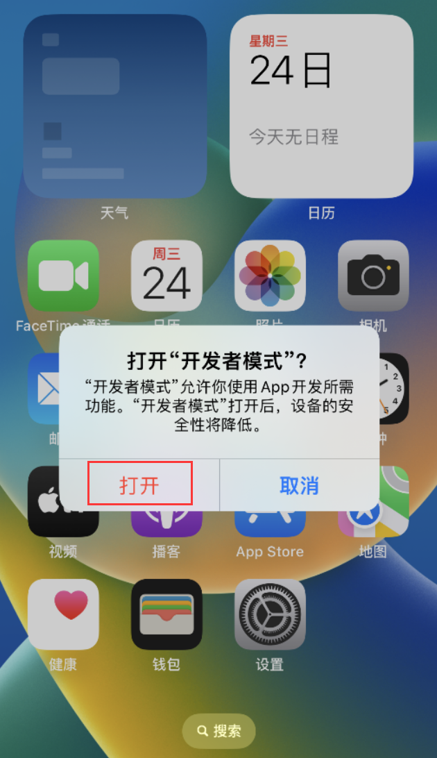 黄陂苹果手机维修分享如何打开开发者模式 