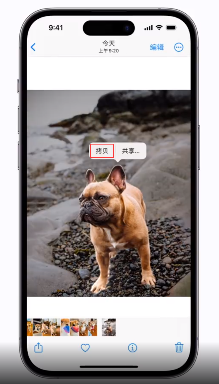 黄陂苹果手机维修分享 iOS 16 自带一键抠图功能 