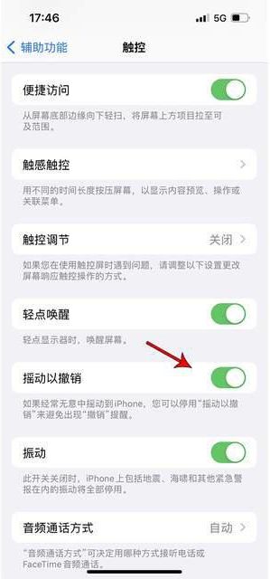 黄陂苹果手机维修分享iPhone手机如何设置摇一摇删除文字 