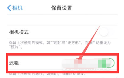 黄陂苹果13维修分享iPhone13拍照有绿点是怎么回事 