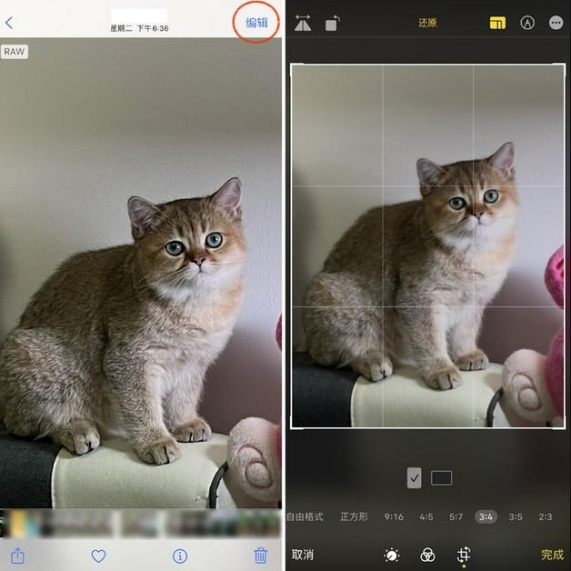 黄陂苹果手机维修分享苹果 iPhone 12 Pro 拍照会过度锐化 