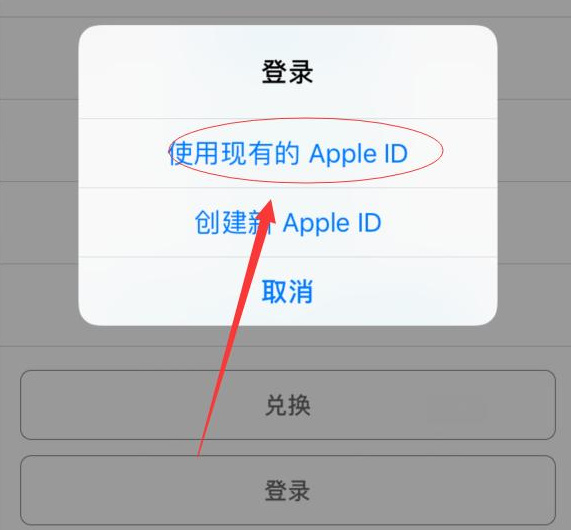 黄陂苹果手机维修分享两台iPhone设备可以同时登录一个Apple ID吗 