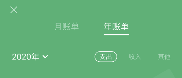 黄陂苹果手机维修分享如何在 iPhone 上查看支付宝和微信年支出账单 