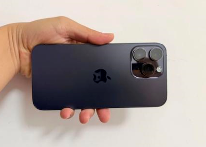 黄陂苹果维修点分享iPhone 14 Pro Max黑屏少见故障盘点 